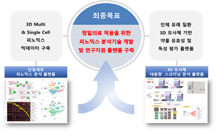단일세포 및 3D 모사체 기반 표현형체 분석 플랫폼 구축 및 활용 이미지