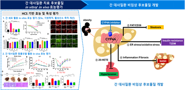 간대사질환 치료기술개발 개요