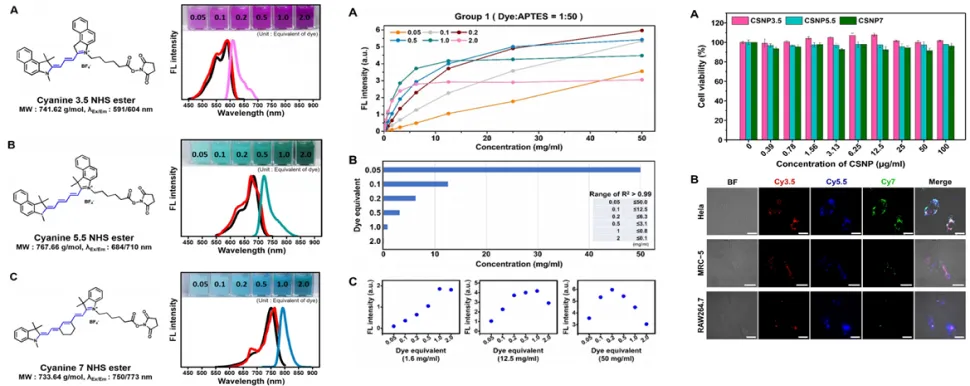 유효물질의 생체 내 분포 규명을 위한 형광 염료 탑재 프로브 제작 및 분석 기술 이미지