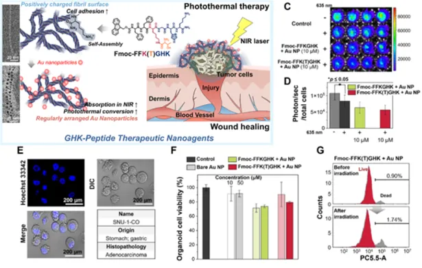 나노바이오 신약분석기술: 금 나노하이브리드의 다중 모드 효능평가