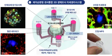 탄소흑연/프러시안블루 나노복합체(CB/PB)를 활용한 종이 기반 오리가미 전기화학 센서를 제작하여 혈액 내 부틸콜린에스터레이스(BChE)를 효소 방식으로 검출