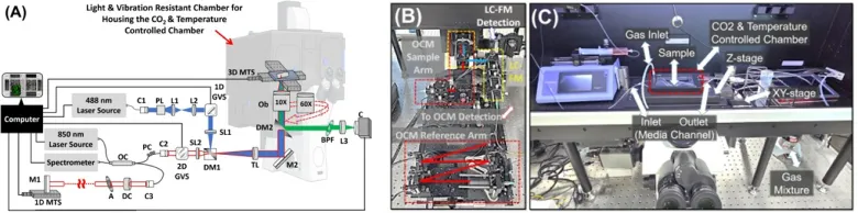 광학현미경 연구분야 최근 연구성과(2024): 공초점 형광 현미경과 광간섭 현미경을 융합한 다중모드 광학 이미징 장비 개발