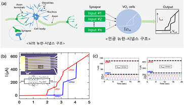 뇌의 뉴런-시냅스 구조 모방 다중저항 기억소자