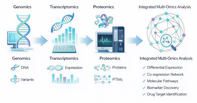 Genomics (DNA, Variants) → Transcriptomics (Expression) → Proteomics (Proteins, PTMs) → Integrated Multi-Omics Analysis (Differential Expression, Co-expression Network, Molecular Pathways, Biomarker Discovery, Drug Target Identification)