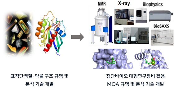 첨단바이오 대형연구장비 활용 표적단백질·약물 MOA 분석 플랫폼 구축