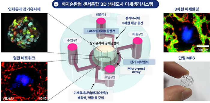 생체모사 미세생리시스템