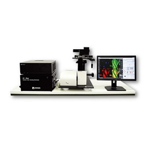 Confocal Fluorescence Laser Scanning Microscopy